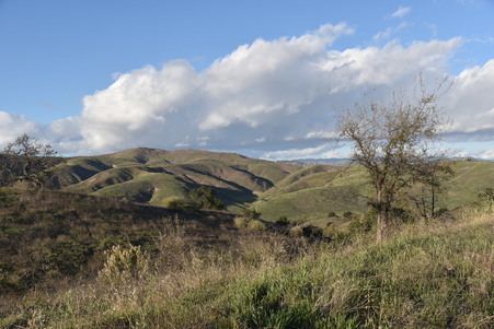 Enlarge photo 41