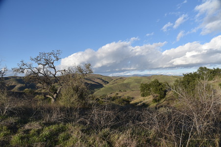 Enlarge photo 42