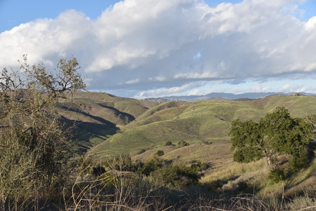 Enlarge photo 43