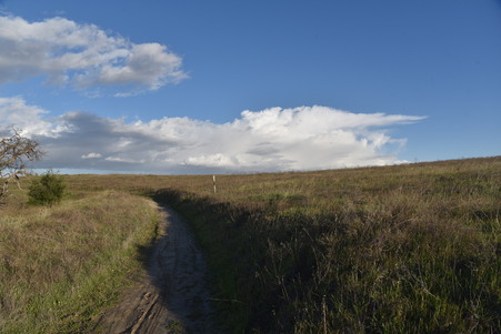 Enlarge photo 44