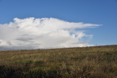 Enlarge photo 45