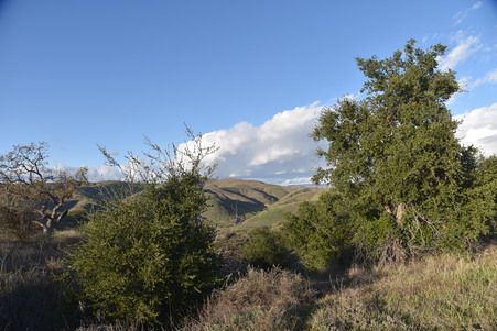 Enlarge photo 46
