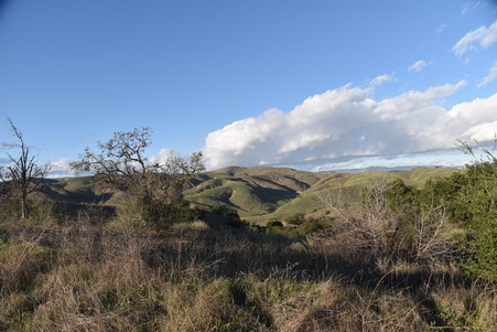 Enlarge photo 47