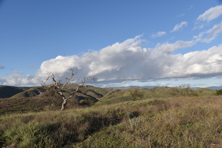 Enlarge photo 49