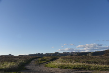 Enlarge photo 50