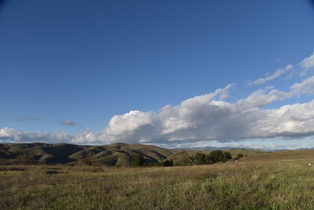 Enlarge photo 51