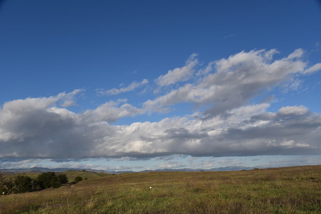 Enlarge photo 52