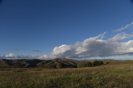 Enlarge photo 53