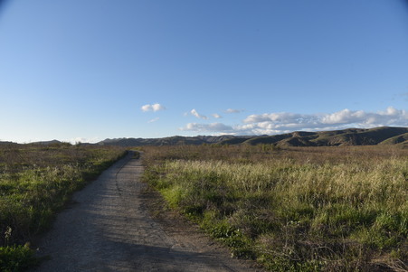 Enlarge photo 55
