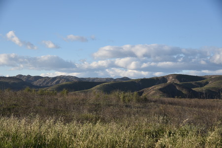 Enlarge photo 56