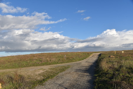 Enlarge photo 57