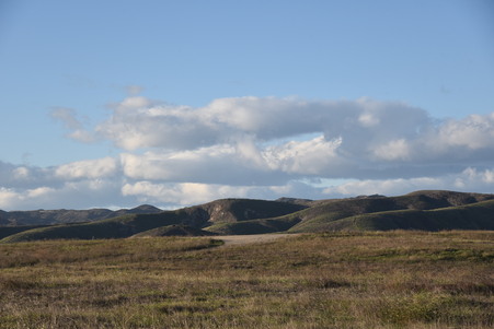 Enlarge photo 58