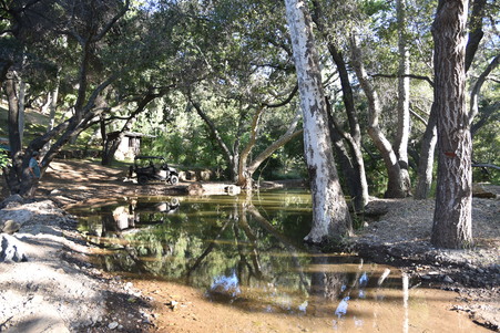 Enlarge photo 4