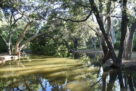 Enlarge photo 6