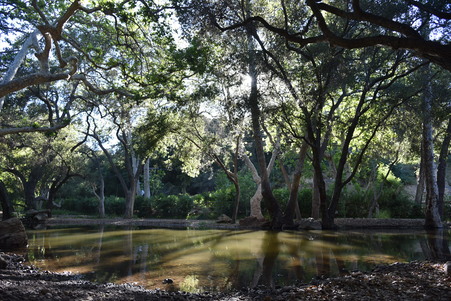 Enlarge photo 11