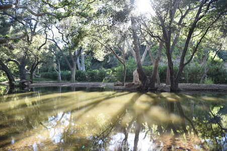Enlarge photo 10