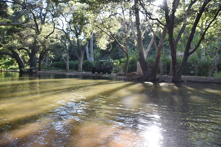 Enlarge photo 15
