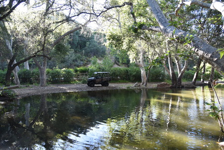 Enlarge photo 18