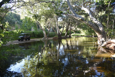 Enlarge photo 21
