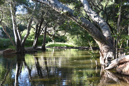 Enlarge photo 22