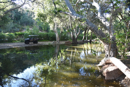 Enlarge photo 23