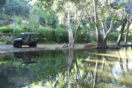 Enlarge photo 24