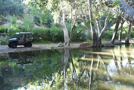 Enlarge photo 25