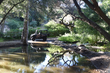 Enlarge photo 31