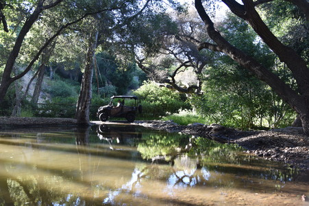 Enlarge photo 32