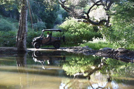 Enlarge photo 33