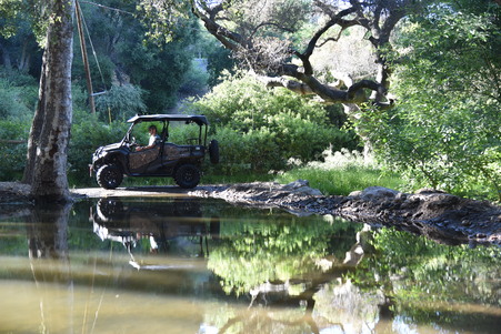 Enlarge photo 35