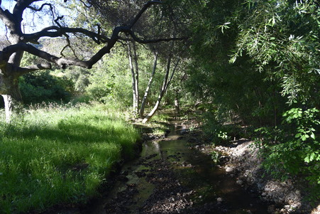 Enlarge photo 36