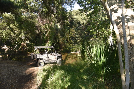 Enlarge photo 47