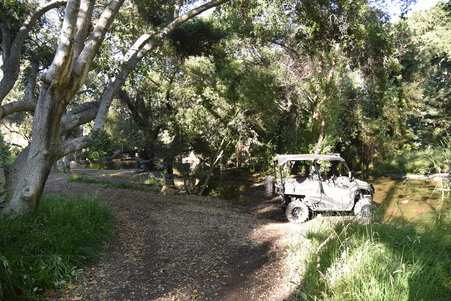Enlarge photo 48