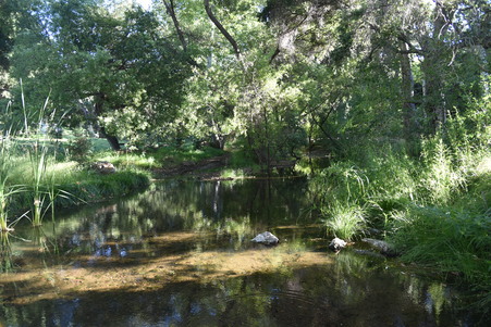 Enlarge photo 49
