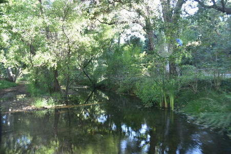 Enlarge photo 50