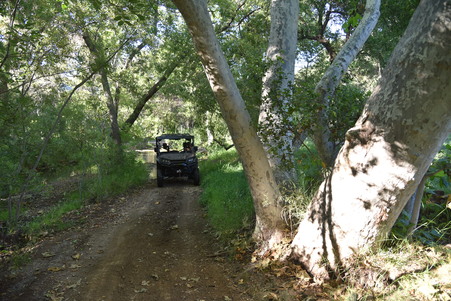 Enlarge photo 53