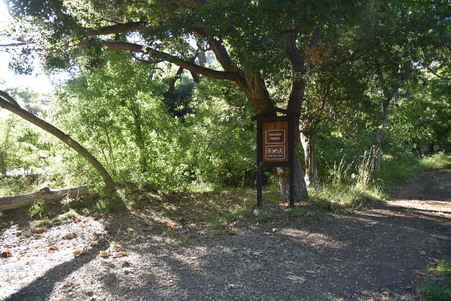 Enlarge photo 55