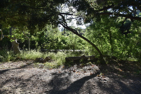 Enlarge photo 57