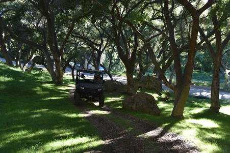 Enlarge photo 72