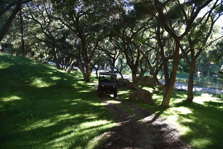 Enlarge photo 73