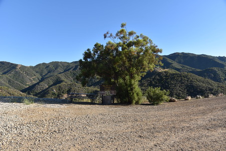 Enlarge photo 92