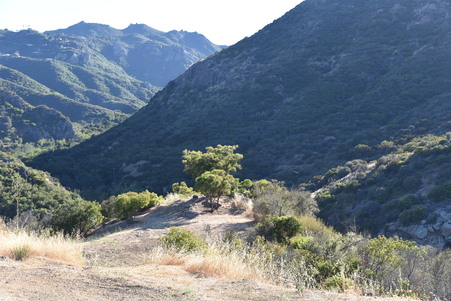 Enlarge photo 98