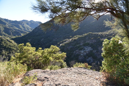 Enlarge photo 104