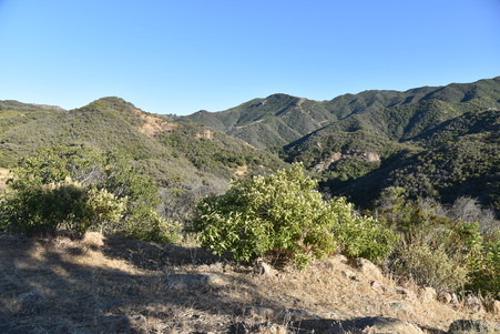 Enlarge photo 107