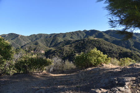 Enlarge photo 109