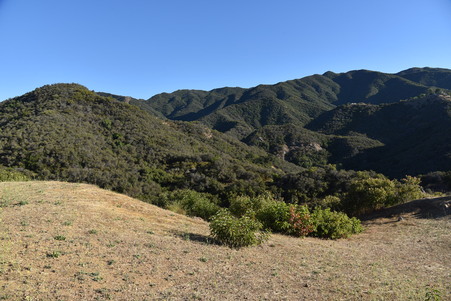 Enlarge photo 117