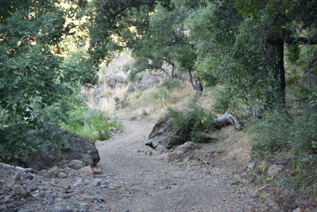 Enlarge photo 120