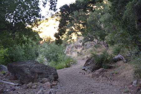 Enlarge photo 122