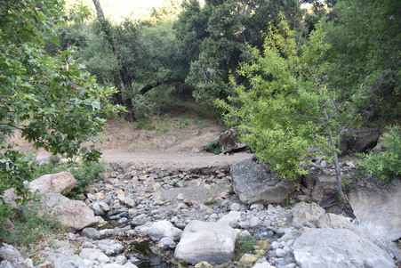 Enlarge photo 125